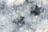 Blue Celestine (Celestite) Crystal Geode - Madagascar #87131-1
